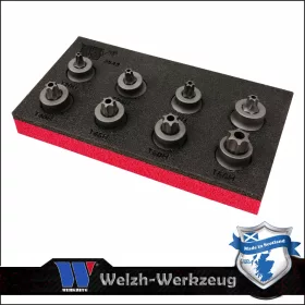   Rátűzőkulcs készlet 3/8" Torx T10H-T55H mm - extra alacsony,furat - Welzh Werkzeug