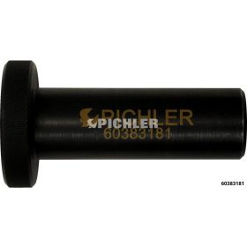   Pichler tartozék PSA20TON-2.2HDI-16 Rögzítő peremes anya - 20 t - Pichler Tools