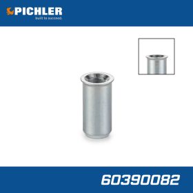   Pichler porlasztó hegy-furat vakdugó 8 mm-es peremmel - 1 db - Pichler Tools