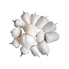   Polírozó fej készlet, csapos, fúrógépbe fogható 14 db-os - BGS