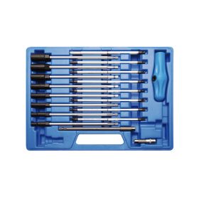   T-fogantyús csavarhúzó és dugókulcs készlet 19 részes - BGS