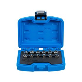   Befecskendező nyílás zárócsavar készlet 12 részes - BGS