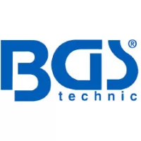 BGS